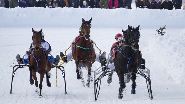 悉尼馬拉松2025升格為七大馬拉松　比賽日期+報名+賽道一文睇清.