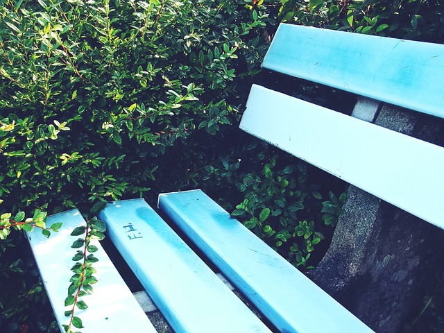 争夺激烈的 争夺激烈的