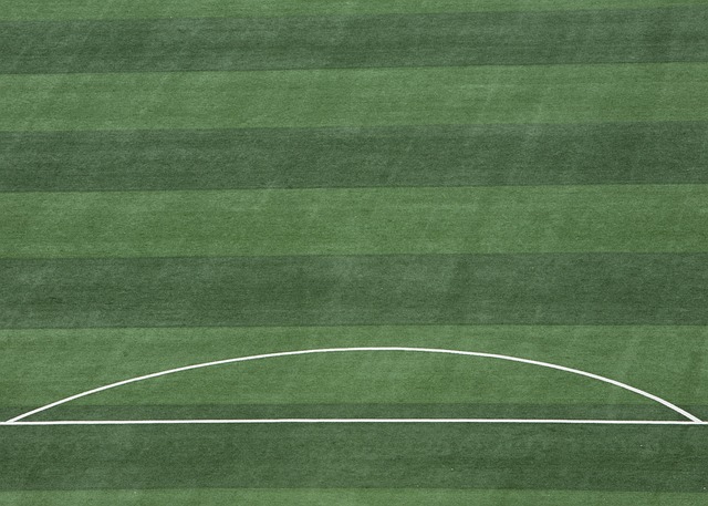 利对球队意 利对球队意