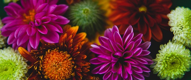 火箭队核心 火箭队核心